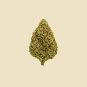 Bubble Hash CBD