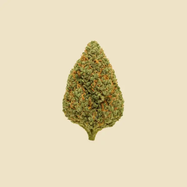 Honey Cheese Small Buds - Imagen 2