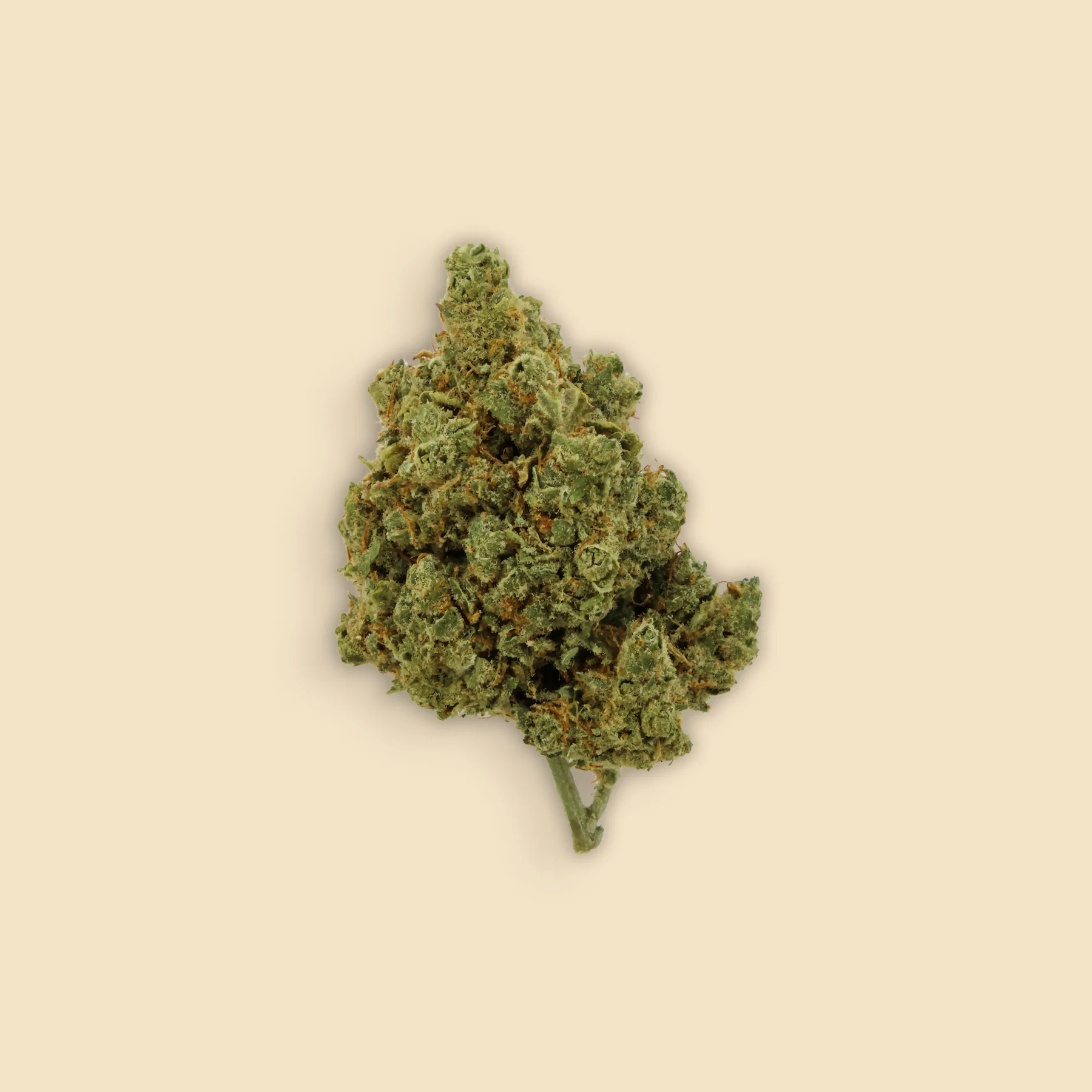 Cogollos Amnesia Hydro CBD - 100Gr