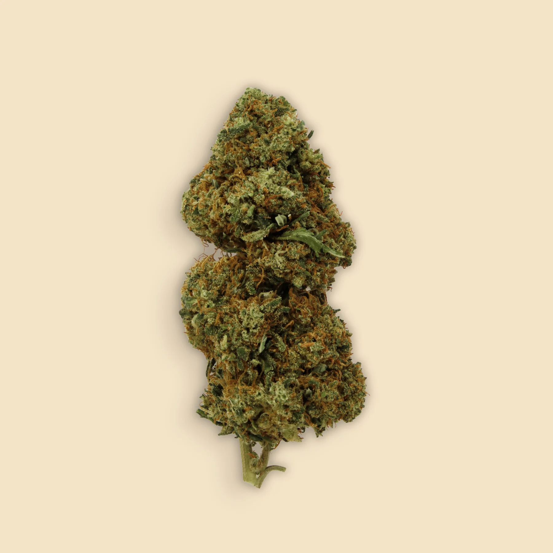 Cogollos Apple Cider CBD