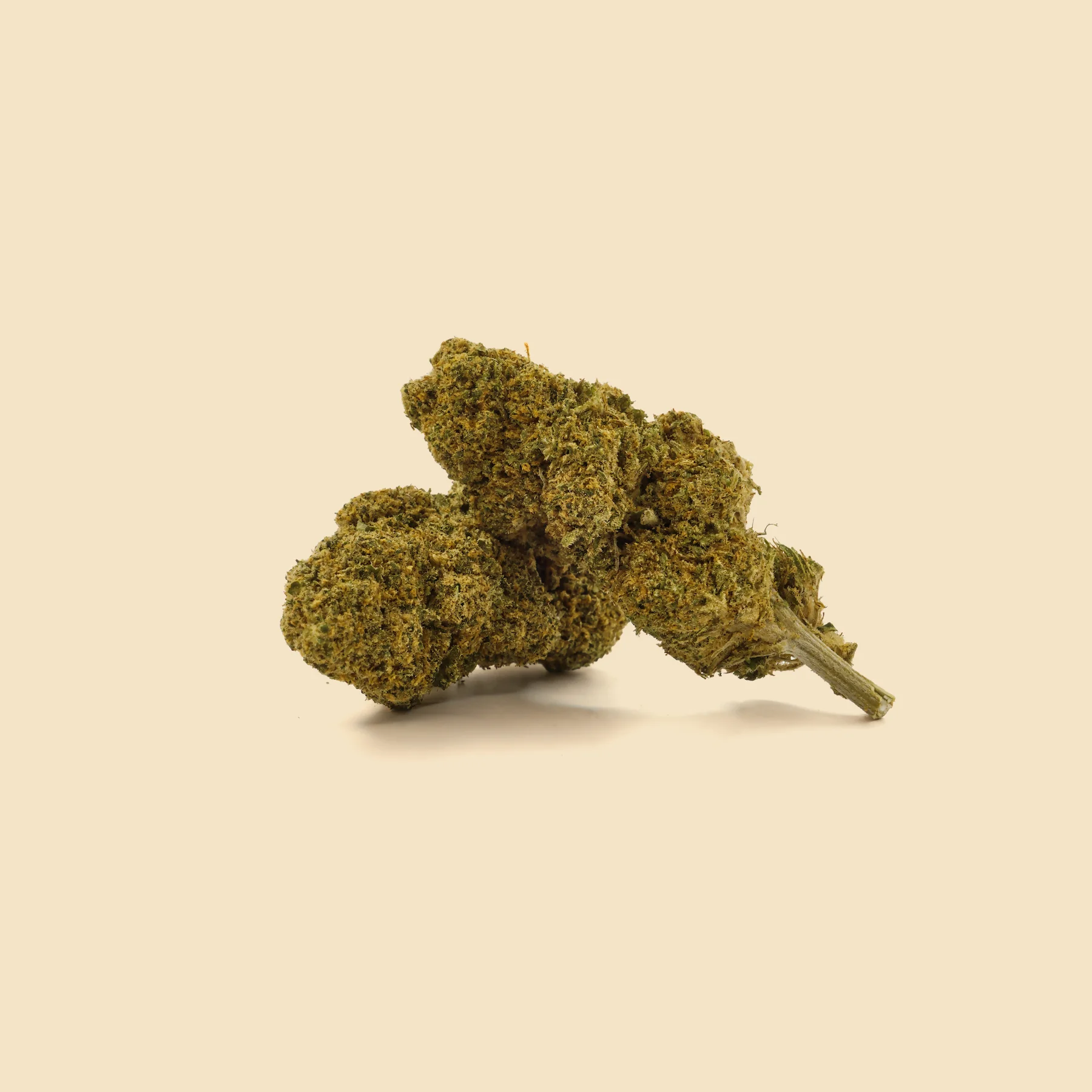 Botões CBD Mirtilo 6 BLUEBERRY CBD