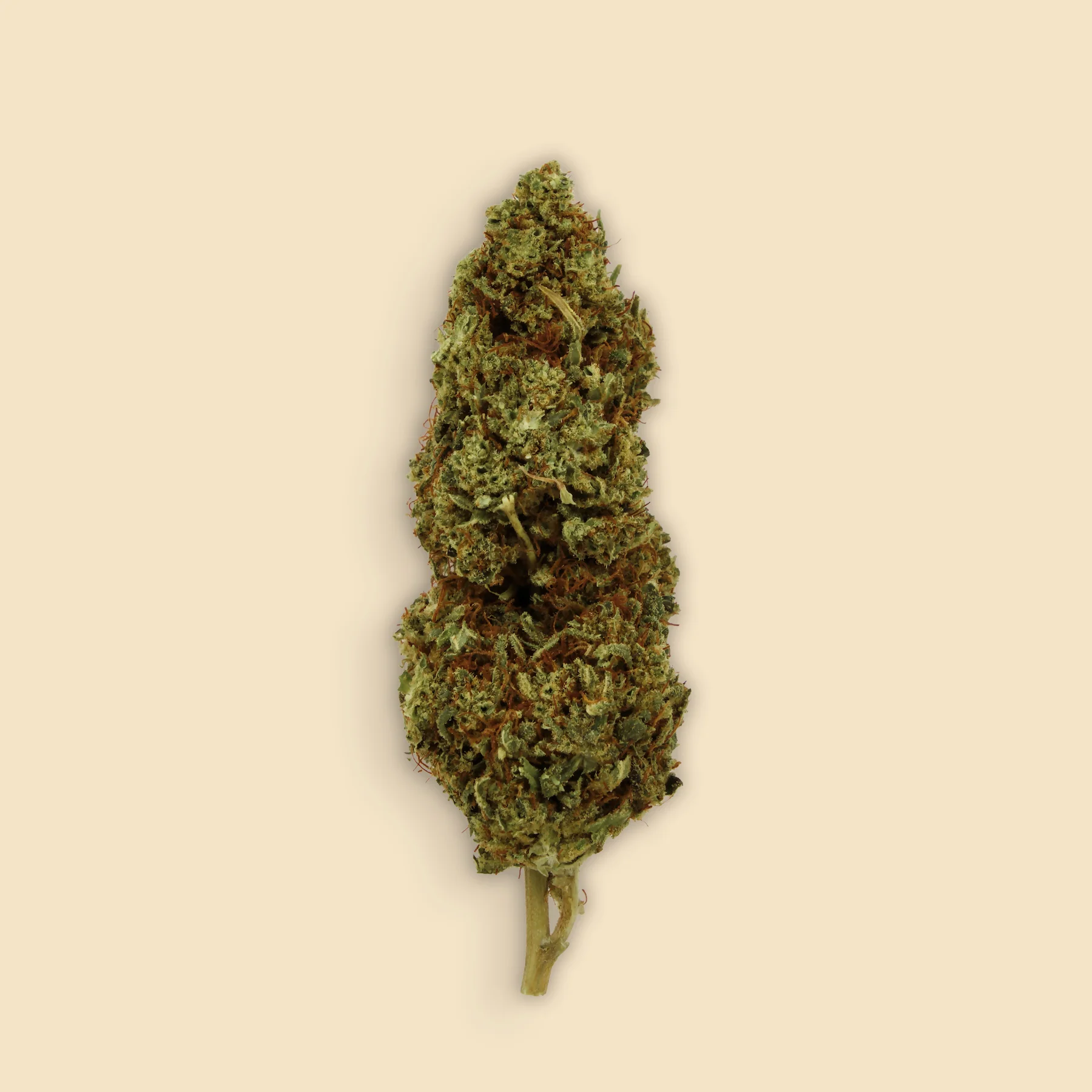 Cogollos Limoncello CBD