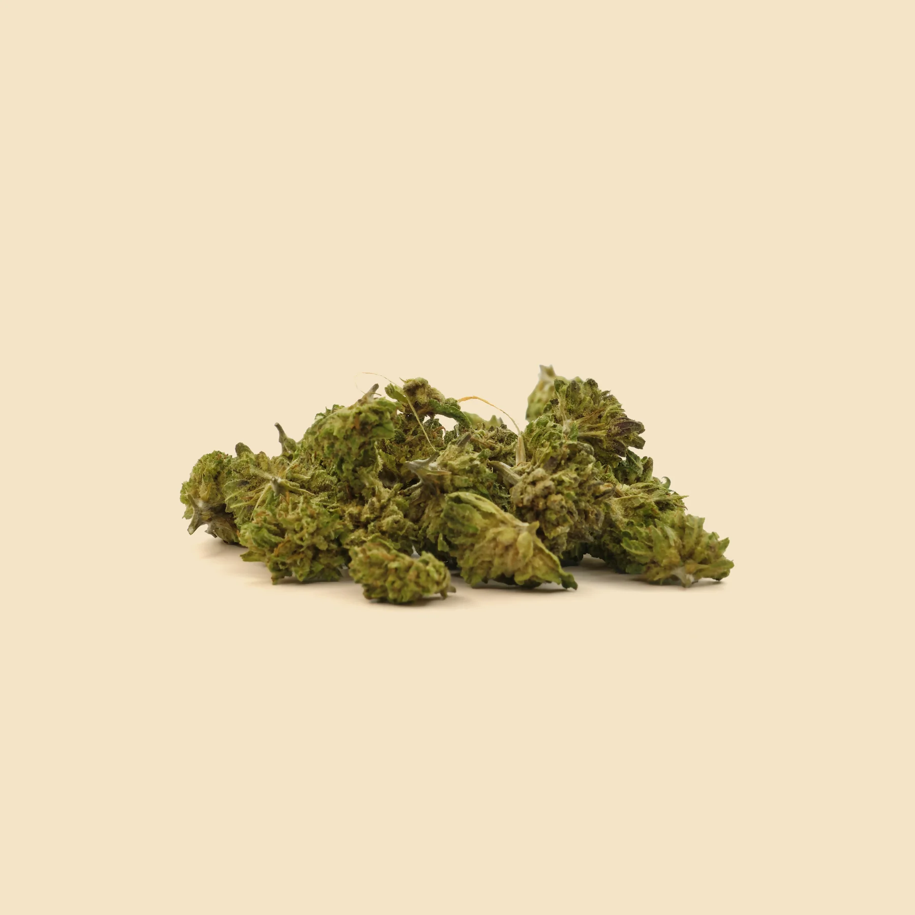 Mini Buds CBD HQ