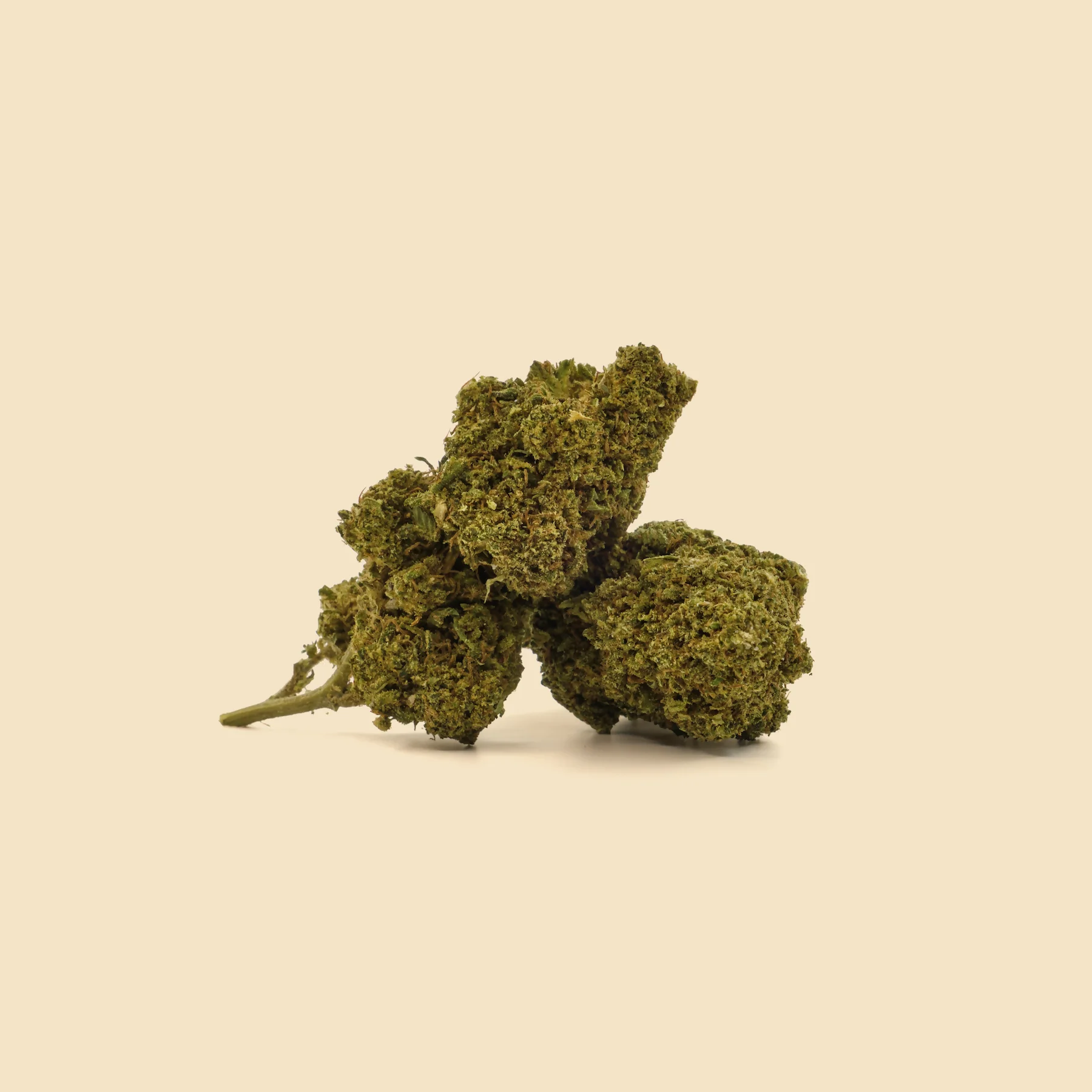 CBD Sugar Cream Buds 6 SUGAR CREAM CBD
